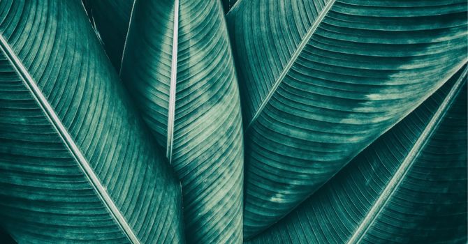 Pelvic Floor and Sex Counseling