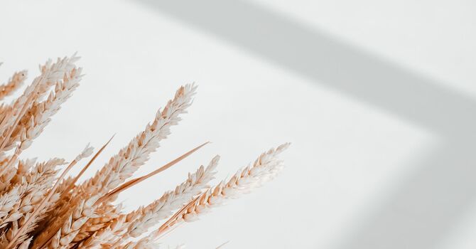 Pelvic Floor and Sex Counseling